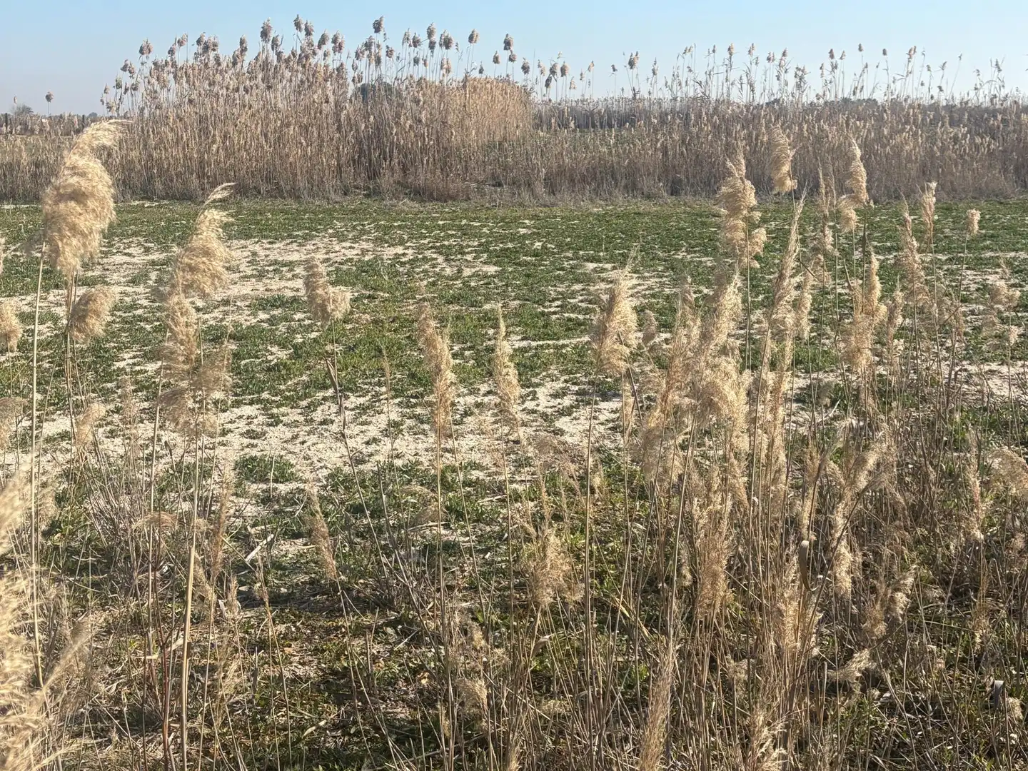 Terrain rustique à vendre à La Foia - Daimés - Asprella, imagen 30