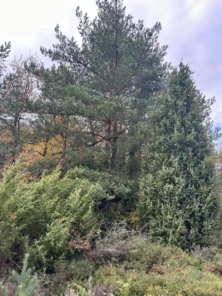 Land for sale in Kuartango