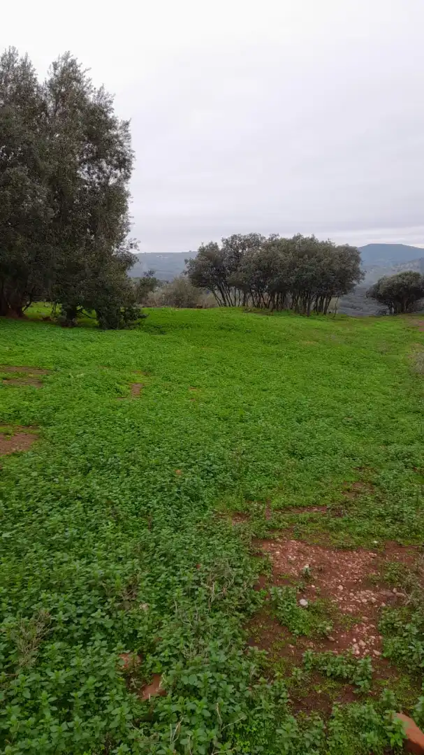 Terreno en venta en Vilches
