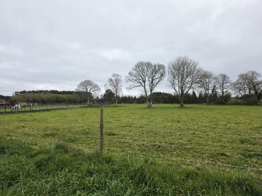 Terrenos y solares en venta en Muruxeses