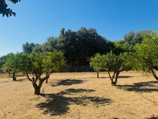 Country homes for sale in Manacor  with Air Conditioner, Private garden and Terrace