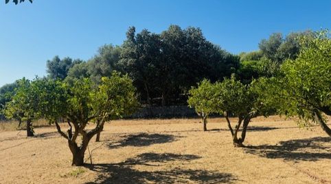 Photo 4 of Country homes for sale in Manacor Centre, Manacor