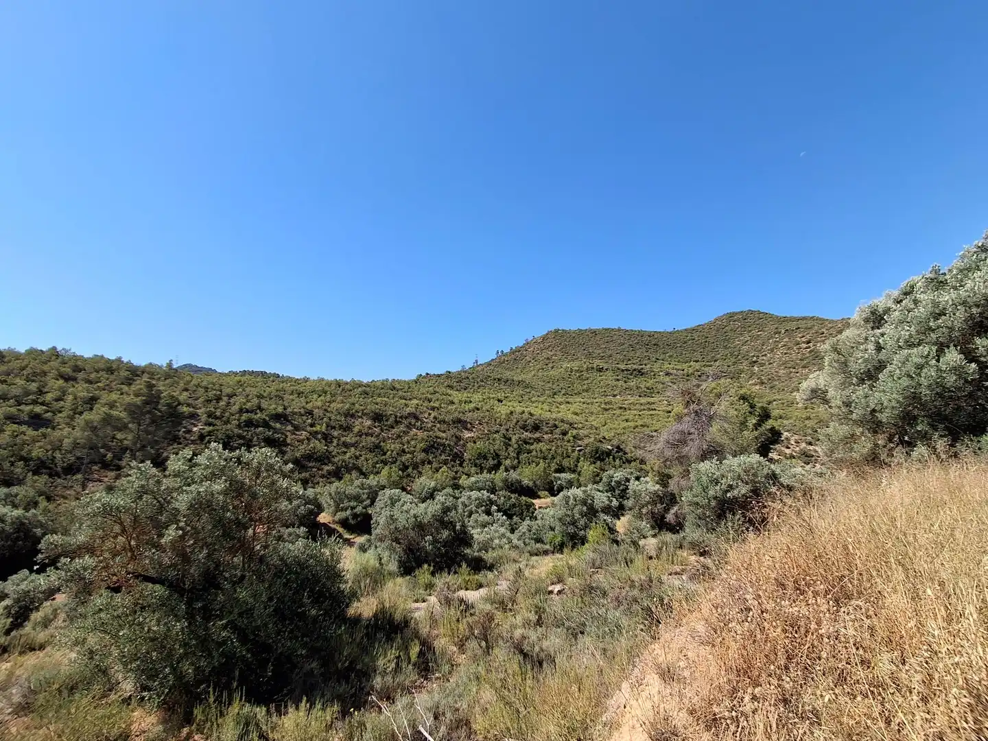 Finca rústica en venda en Riba-roja d'Ebre