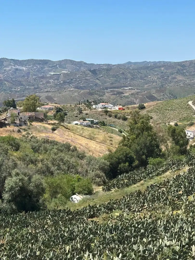 Terreni e lotti in vendita a Vélez-Málaga ciudad, imagen 10