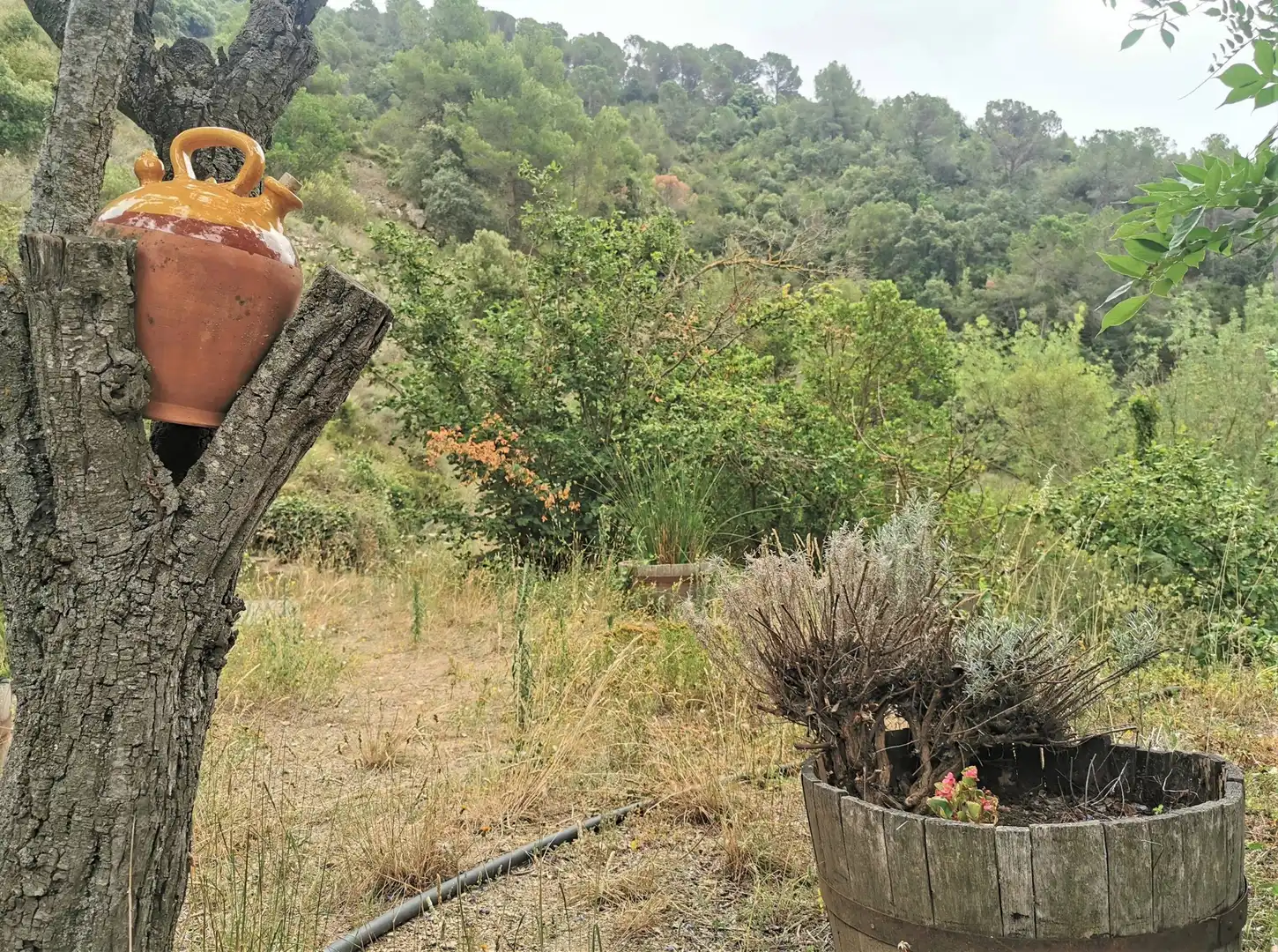 Jardín de Casa o chalet en venta en Porrera con Calefacción, Jardín privado y Terraza