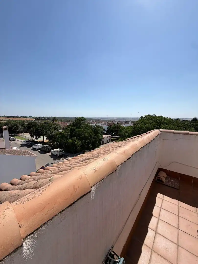 Vista exterior de Casa o xalet en venda en Sanlúcar la Mayor amb Calefacció i Terrassa
