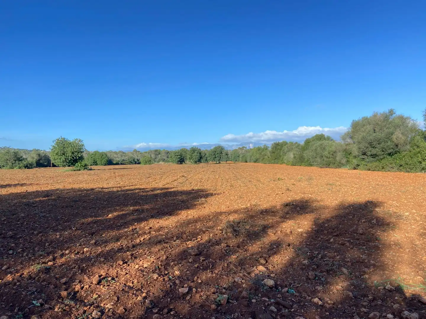 Maison rustique à vendre à Sineu, imagen 22