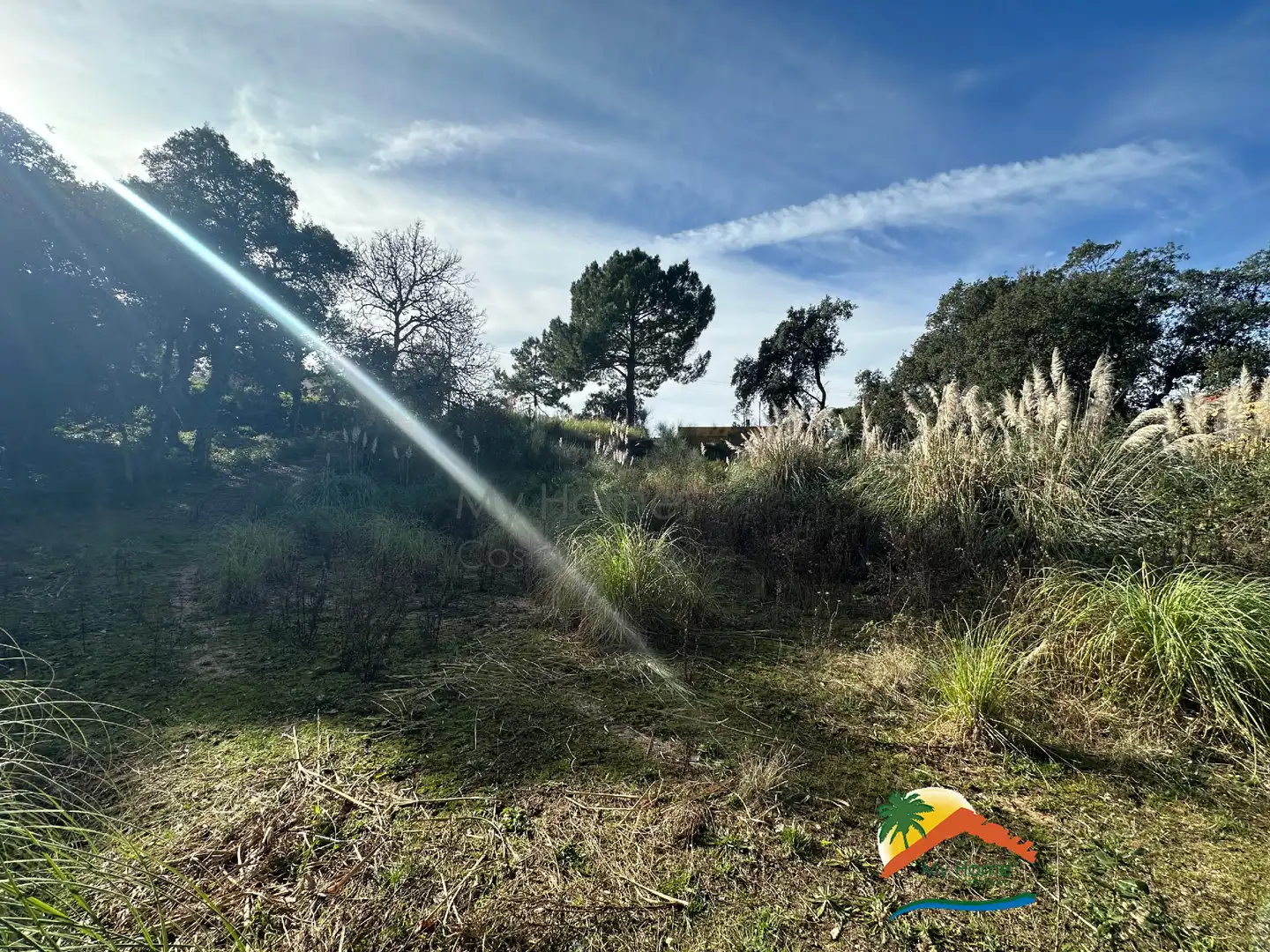 Terreno residencial en venta en Avinguda Rafael Albertí 67, imagen 8