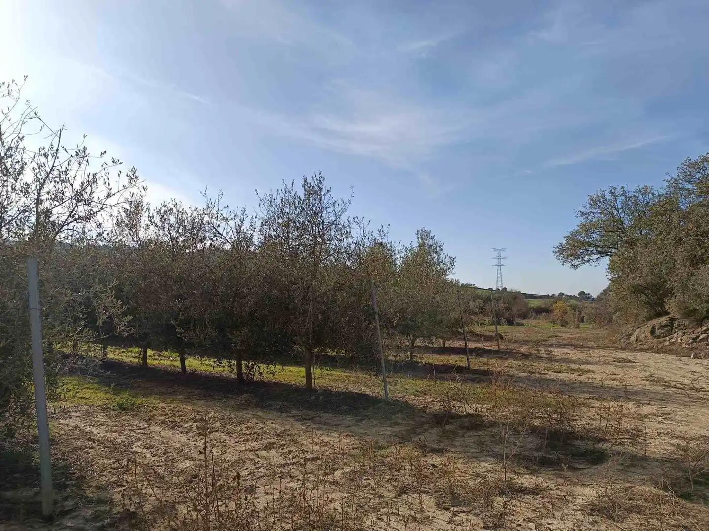 Land for sale in Estadilla