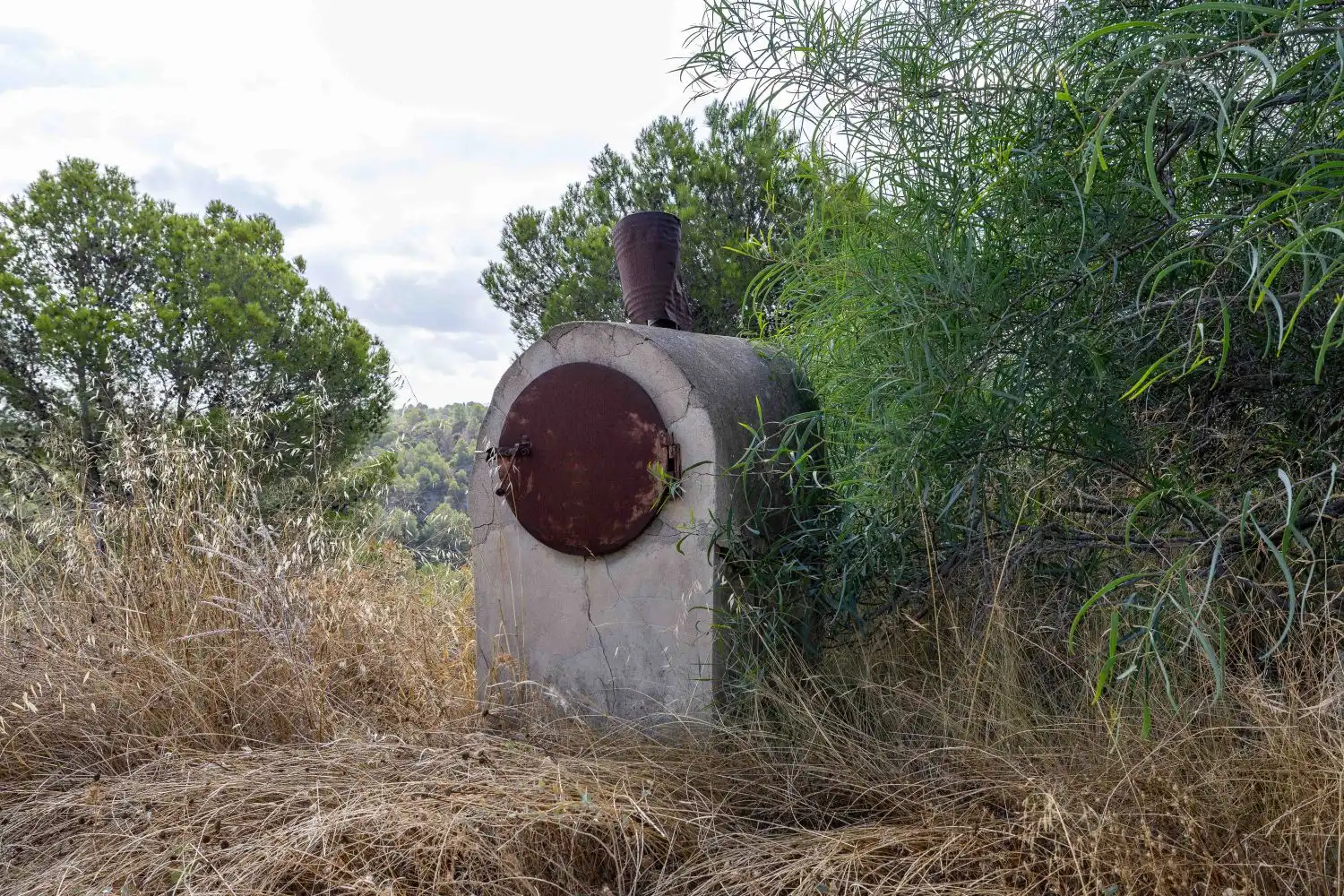 Vista exterior de Finca rústica en venta en Mula