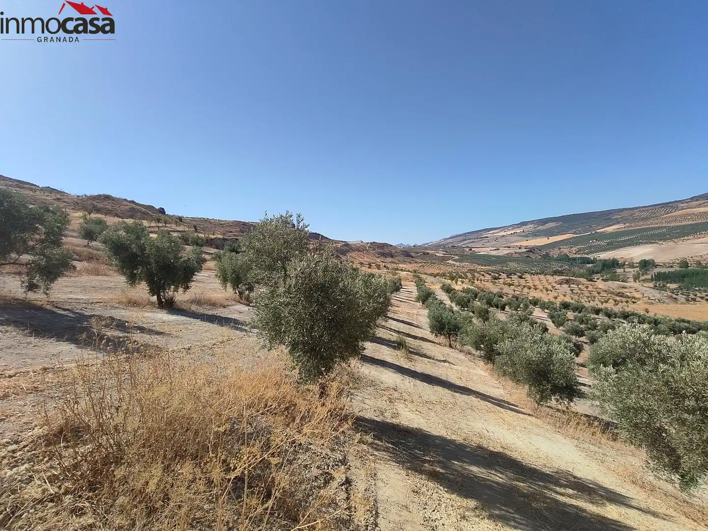 Rural land for sale in Santa Cruz del Comercio, imagen 15