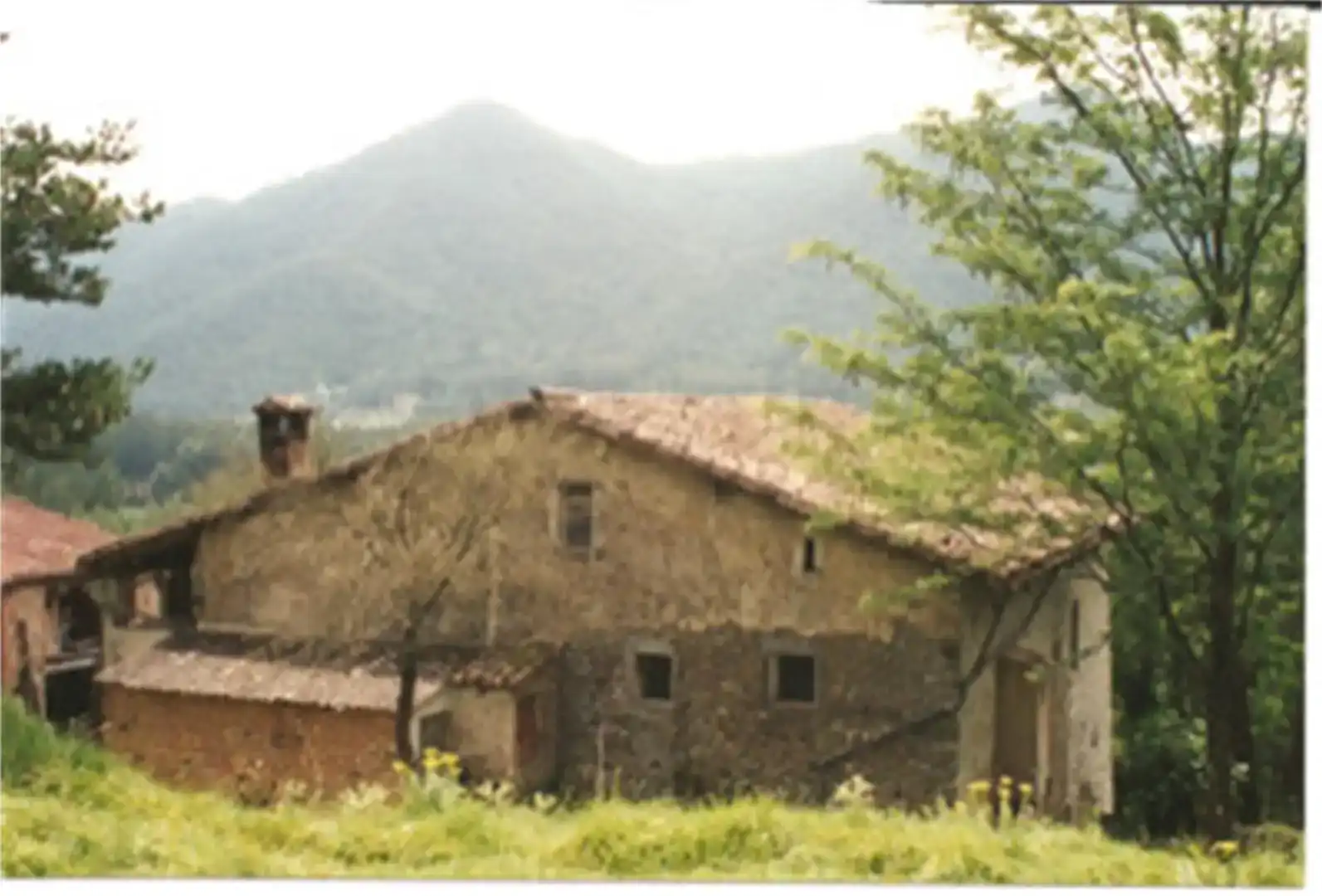 Vista exterior de Finca rústica en venda en La Vall de Bianya