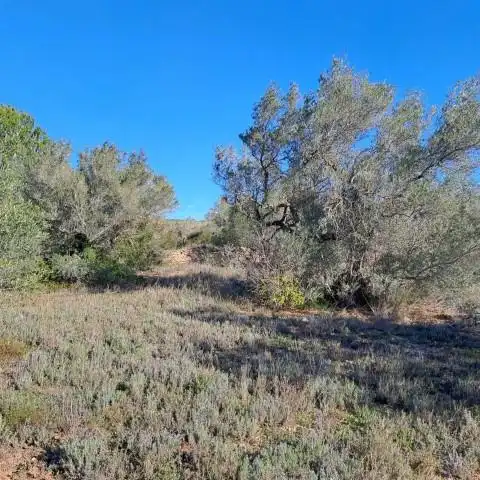 Finca rústica en venda en Tortosa