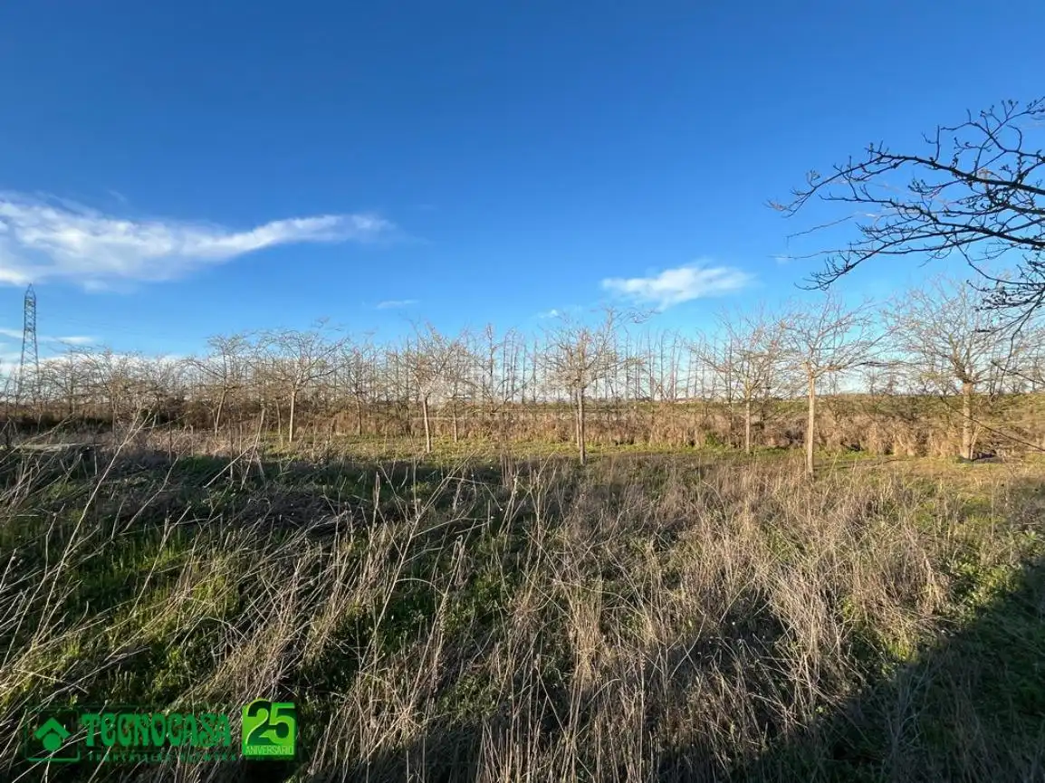 Finca rústica en venta en Ciudad Real con Piscina
