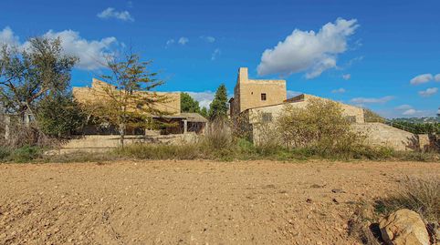 Foto 3 de Finca rústica en venta en Sa Casa Blanca, Palma de Mallorca