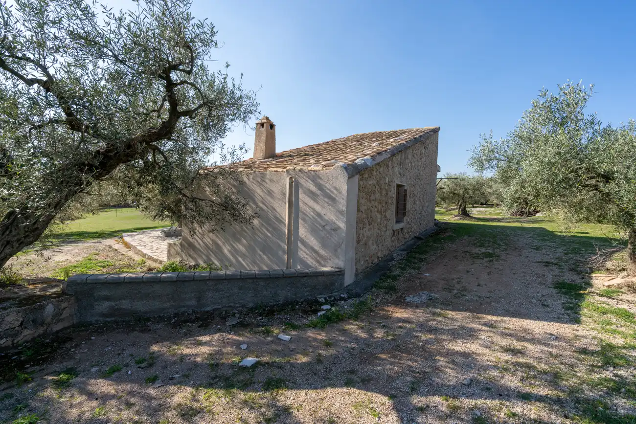Terrain rustique à vendre à Roquetes, imagen 7