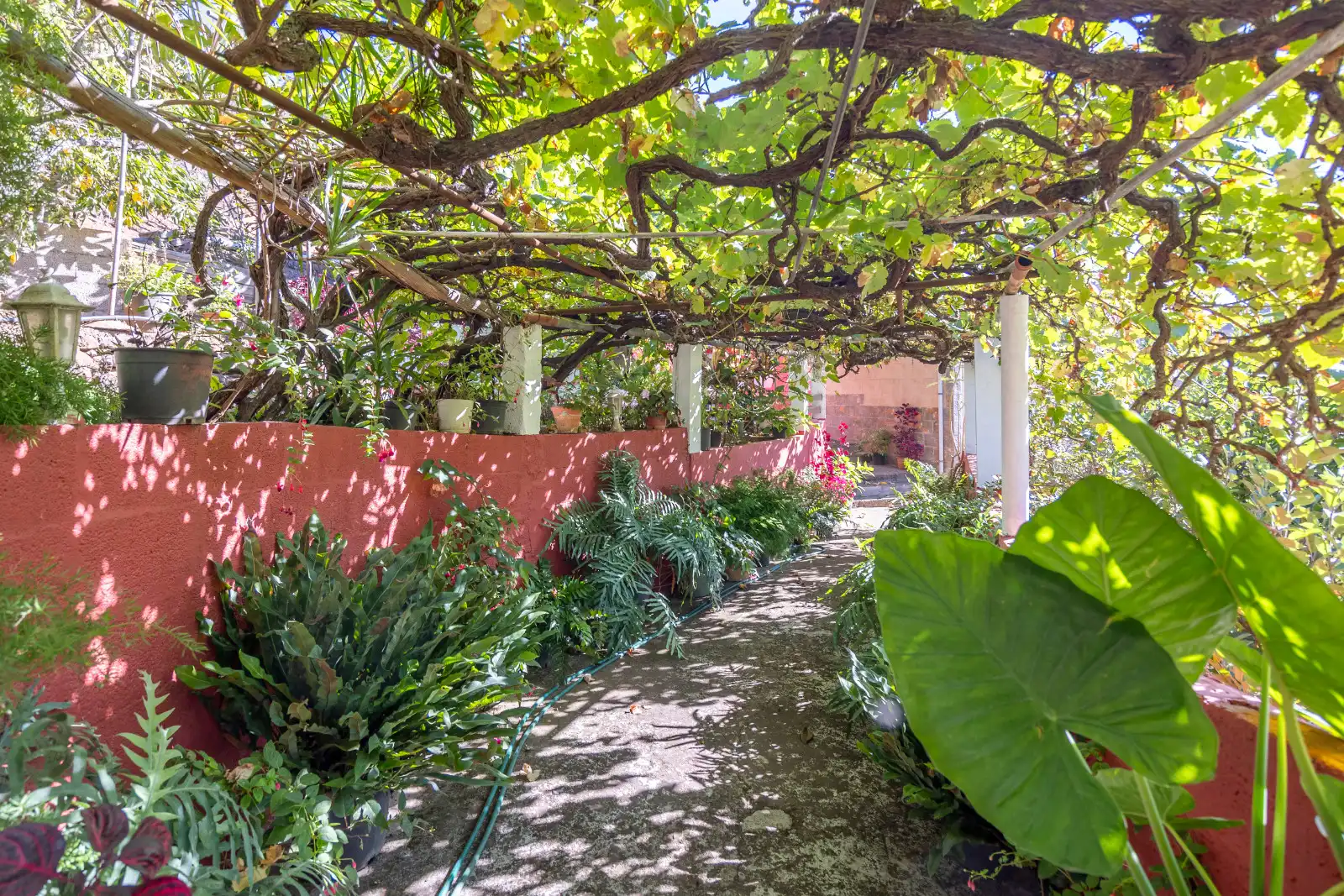 Casa rústica amb jardí en venda a Montaña Alta, imagen 7