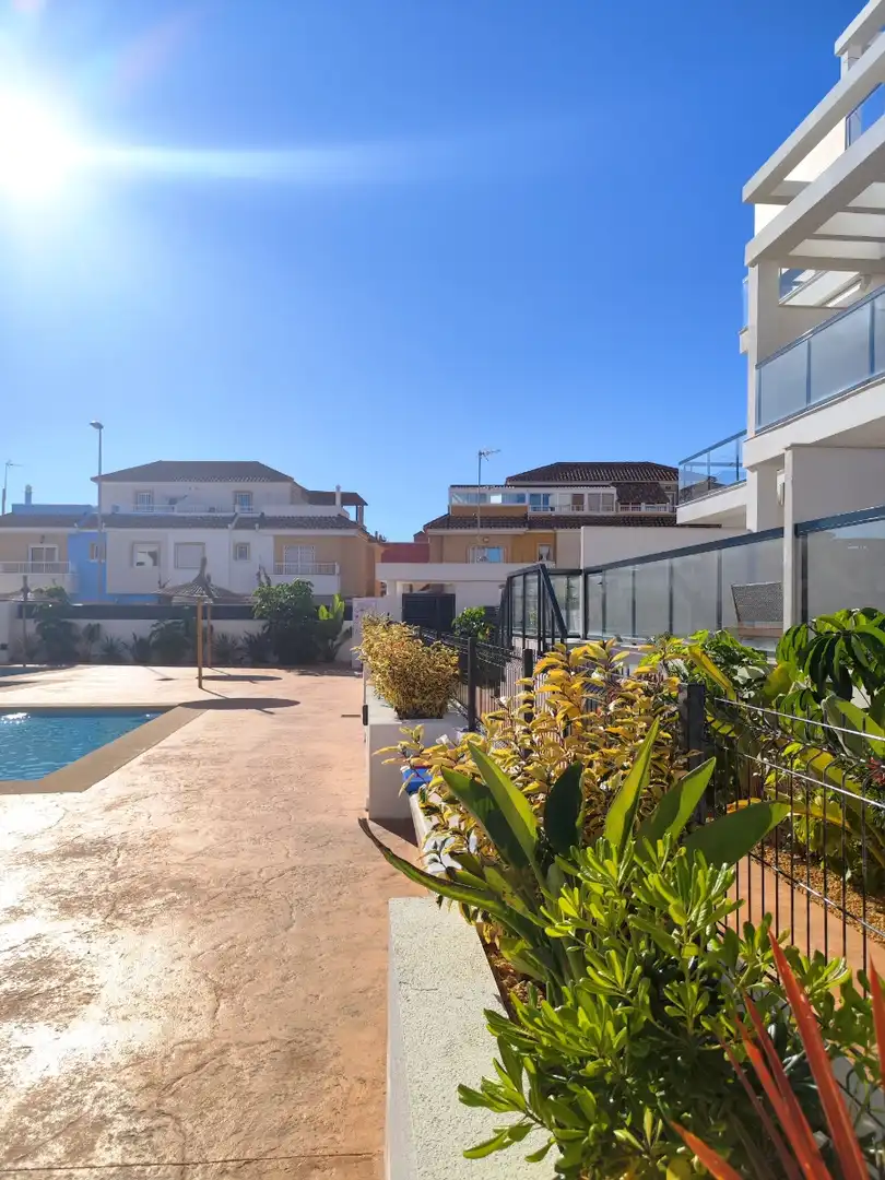 Vista exterior de Planta baixa en venda en Pilar de la Horadada amb Terrassa, Piscina i Moblat