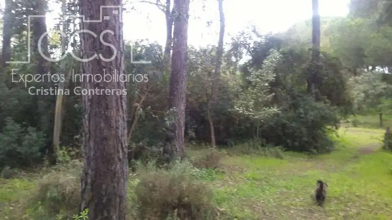 Casa rústica en venda a Almonte ciudad, imagen 16