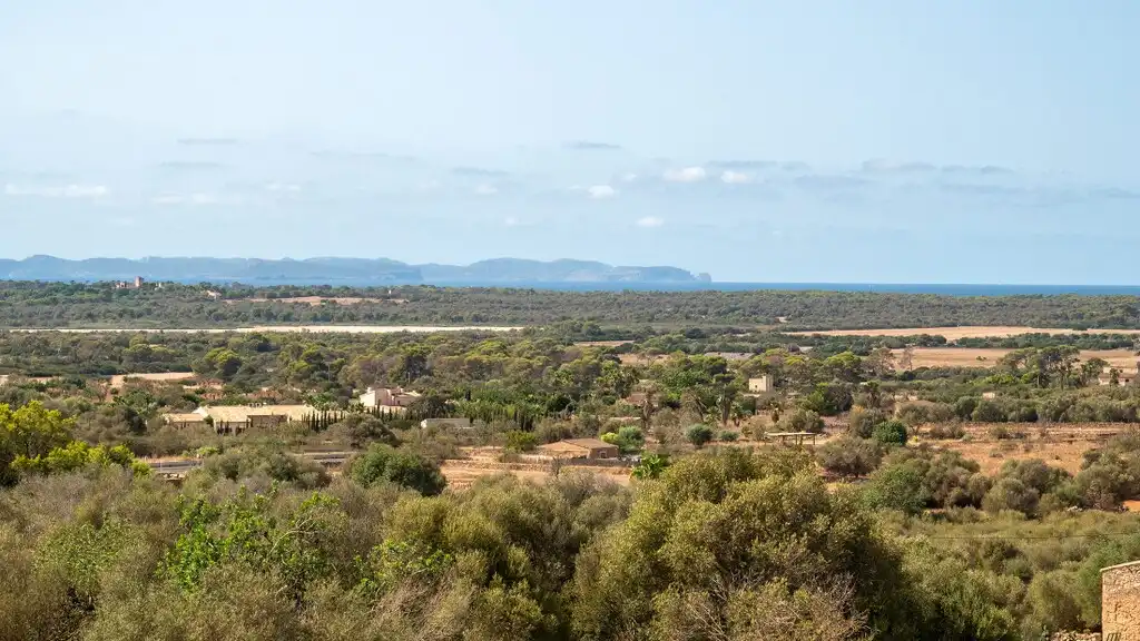 Casa rústica amb piscina en venda a Ses Salines Poble, imagen 16