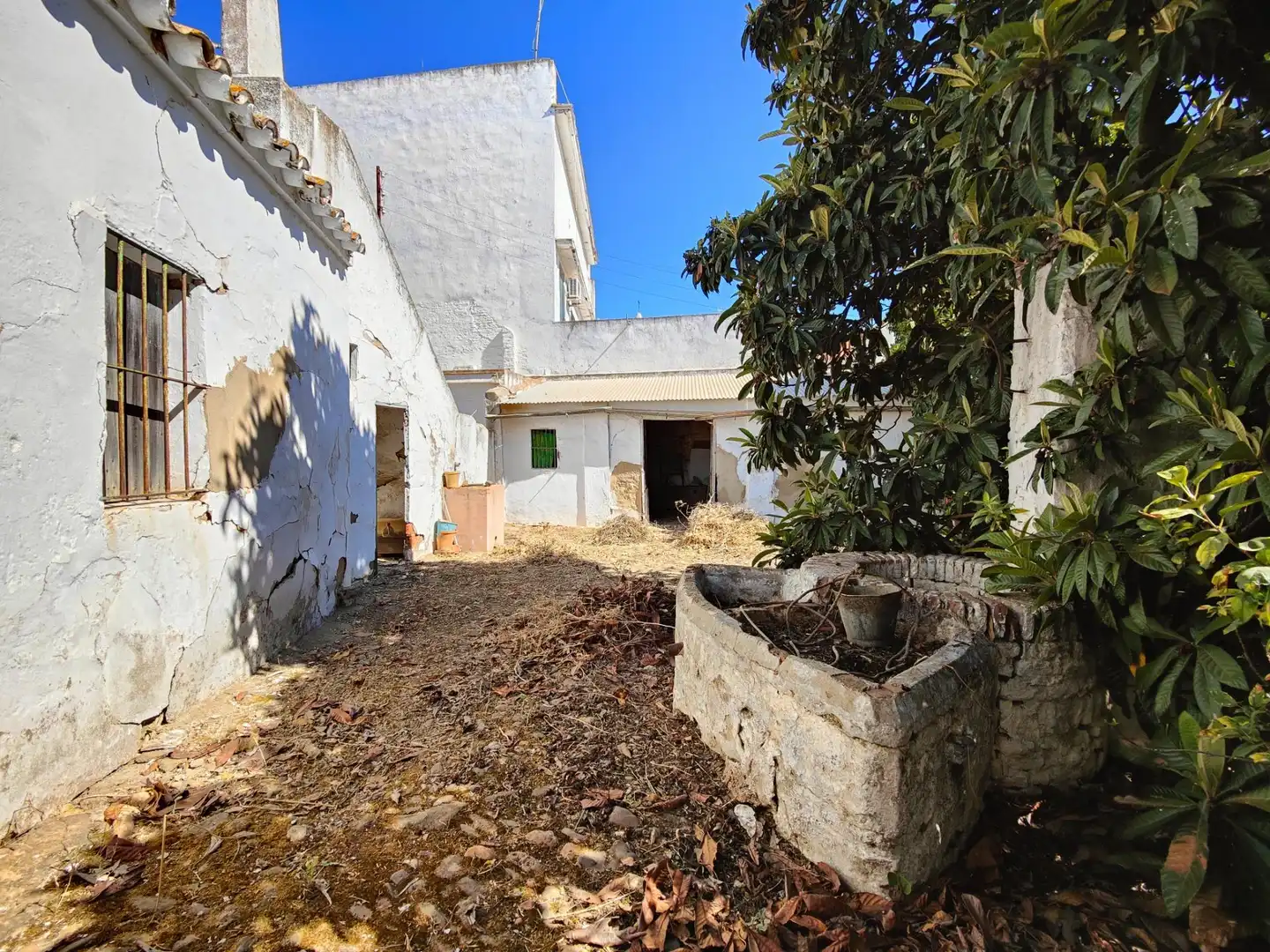 Vista exterior de Casa o chalet en venta en Trigueros con Jardín privado, Trastero y Balcón