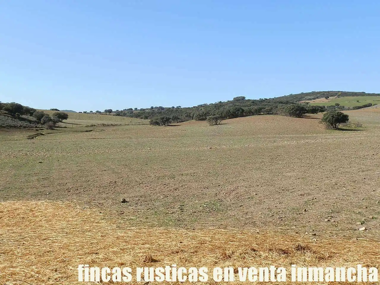 Terreno en venta en Almuradiel
