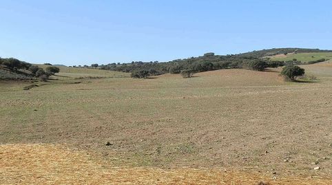 Foto 5 von Grundstücke zum Verkauf in Almuradiel, Ciudad Real