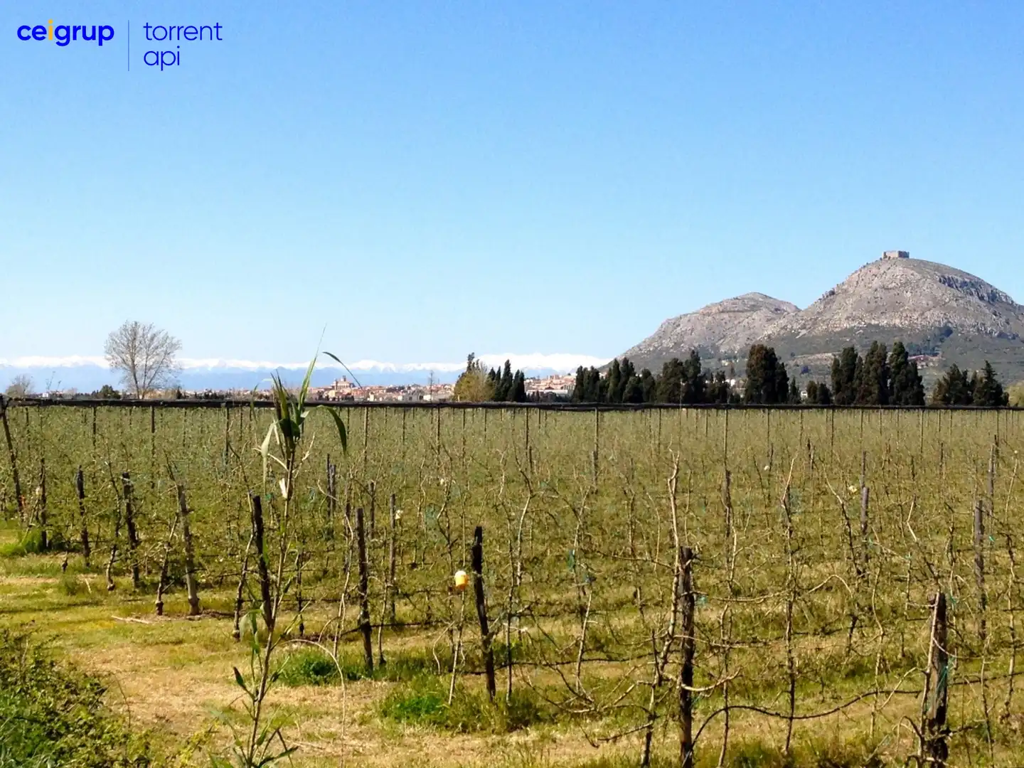 Terrenys i solars en venda a Torroella de Montgrí, imagen 2