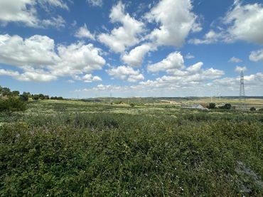 Rural land for sale in Medina Sidonia