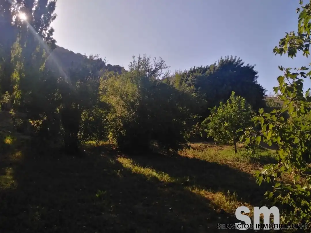 Terreno en venta en Zahara