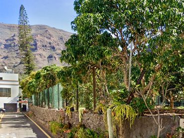 Terreny residencial en venda a Calle Teguerguenche