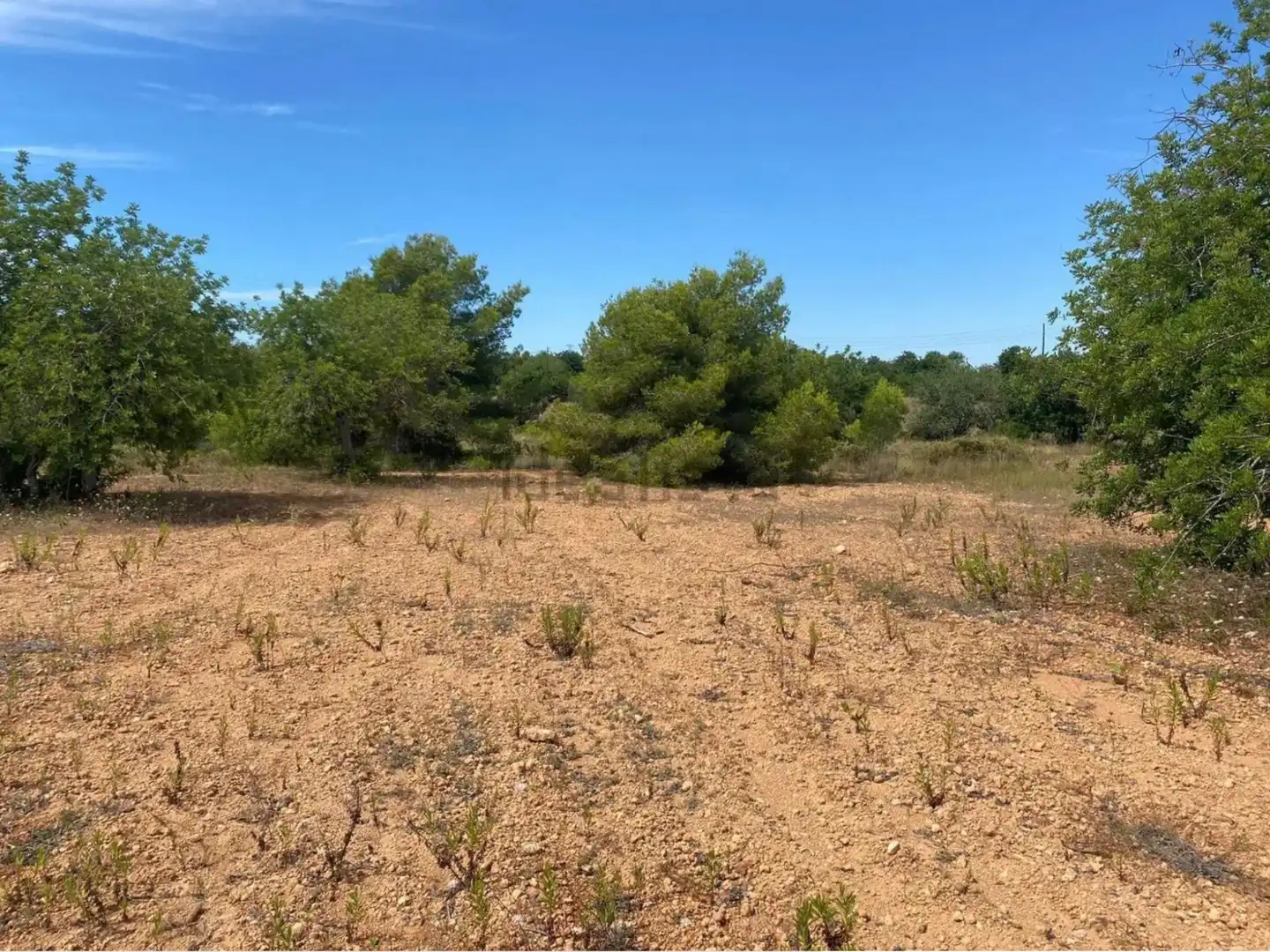 Rural land for sale in Extrarradio Diseminado 1, imagen 19