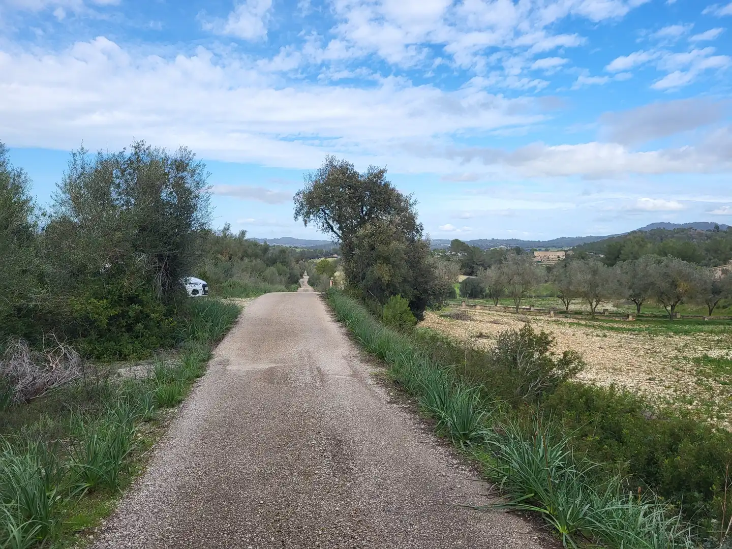 Terreni e lotti in vendita a Sant Joan, imagen 39