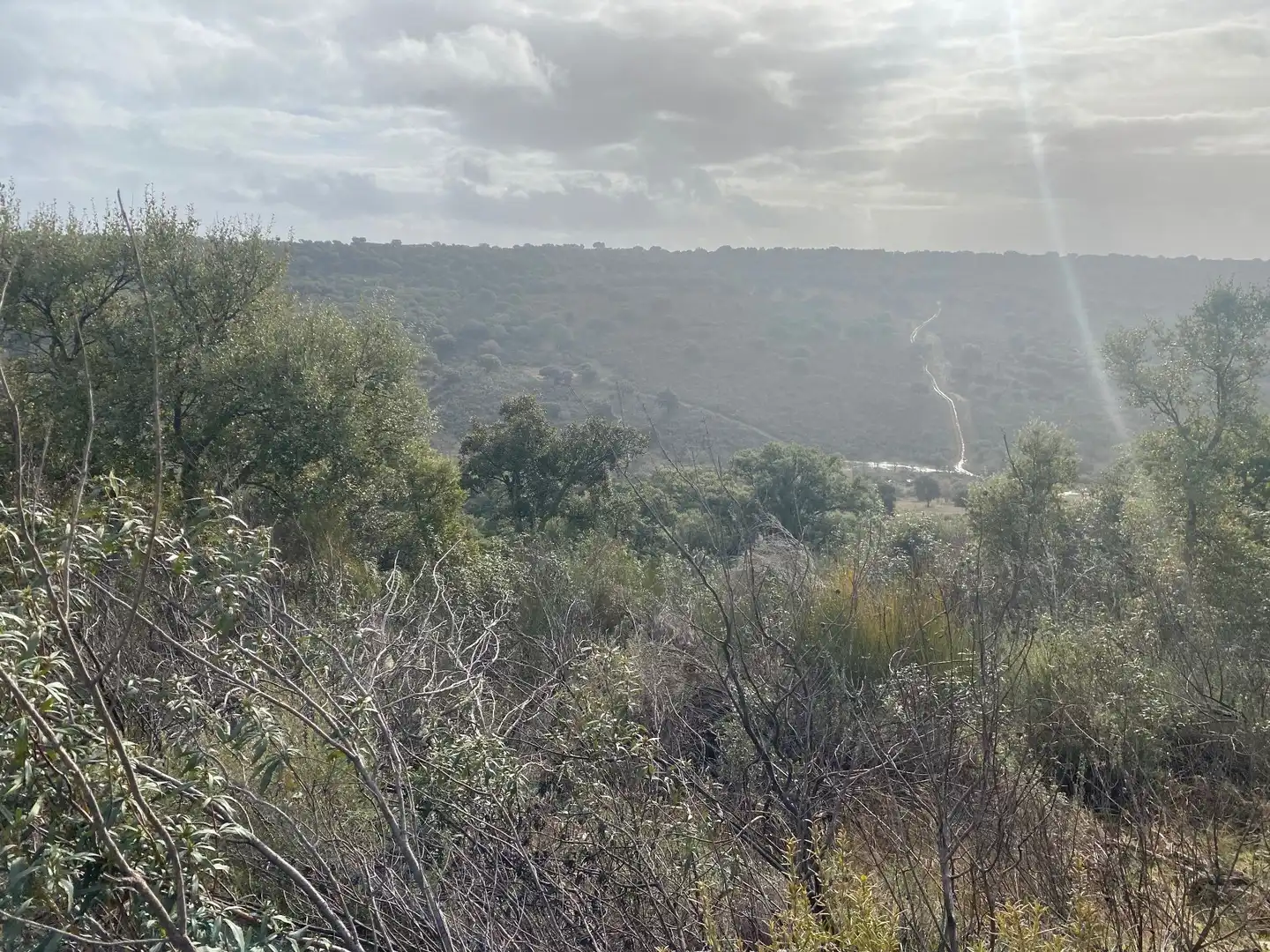 Terreno en venta en Anchuras