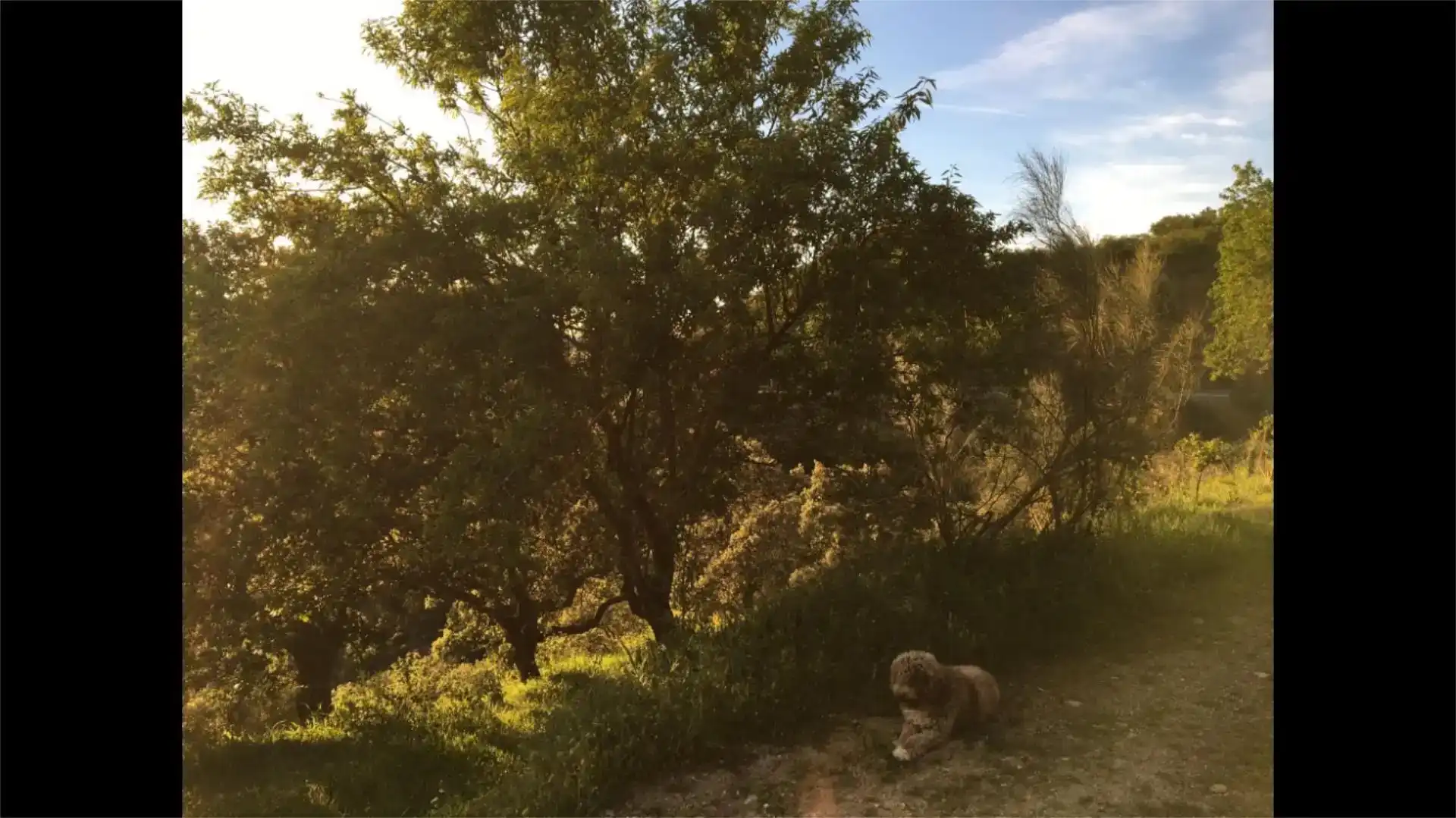 Vista exterior de Finca rústica en venda en Pozoblanco amb Jardí privat, Piscina i Balcó