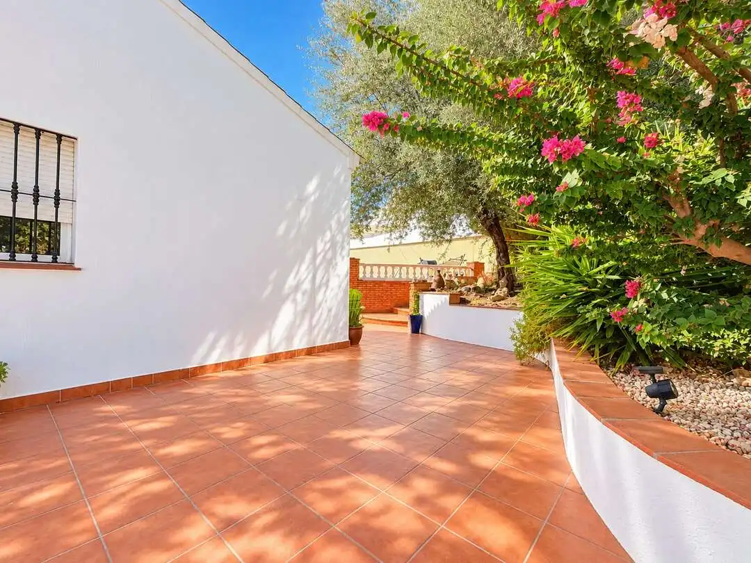 Maison avec terrasse à vendre à Calle Ruisenor 1, imagen 14