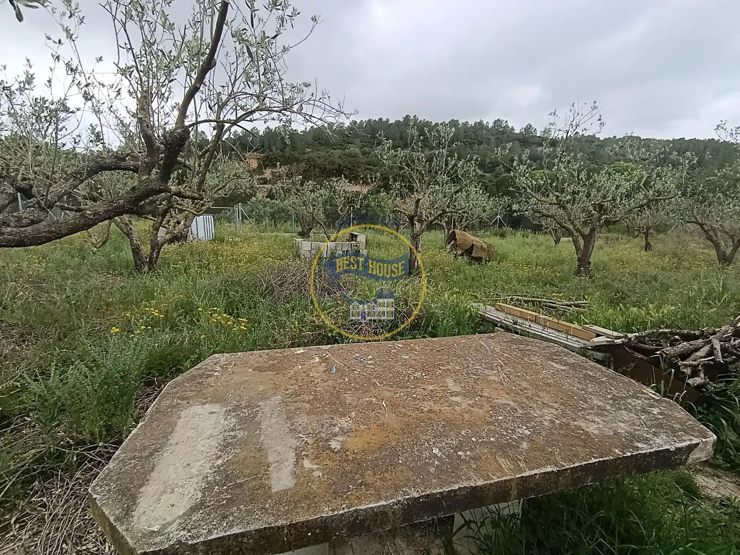 Casa o chalet en venta en Aielo de Malferit