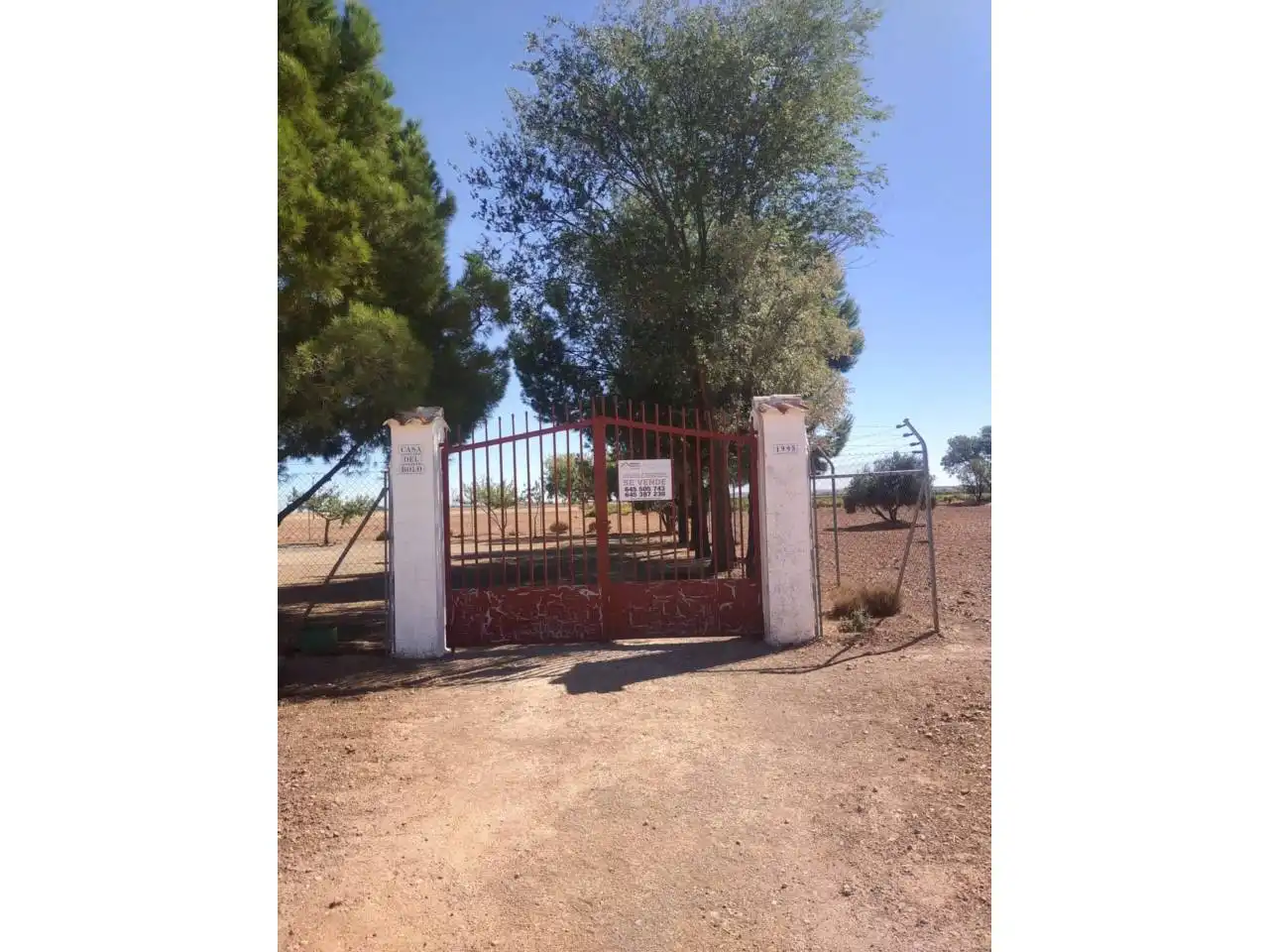 Terreny rústic en venda a Poligono 140 Parcela