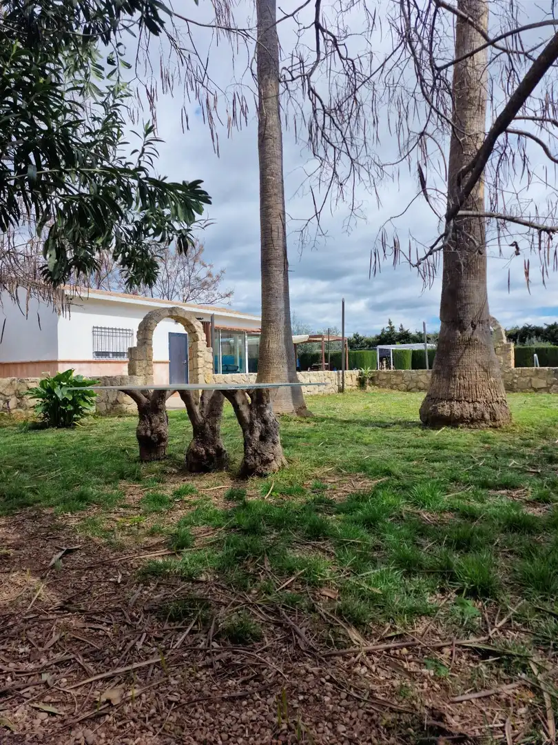 Jardí de Casa o xalet en venda en Córdoba amb Aire condicionat, Calefacció i Jardí privat