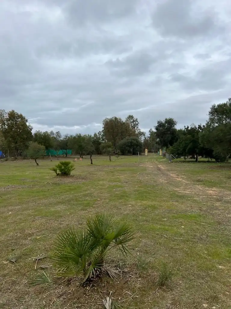 Casa rústica en venda a Benalup-Casas Viejas, imagen 27