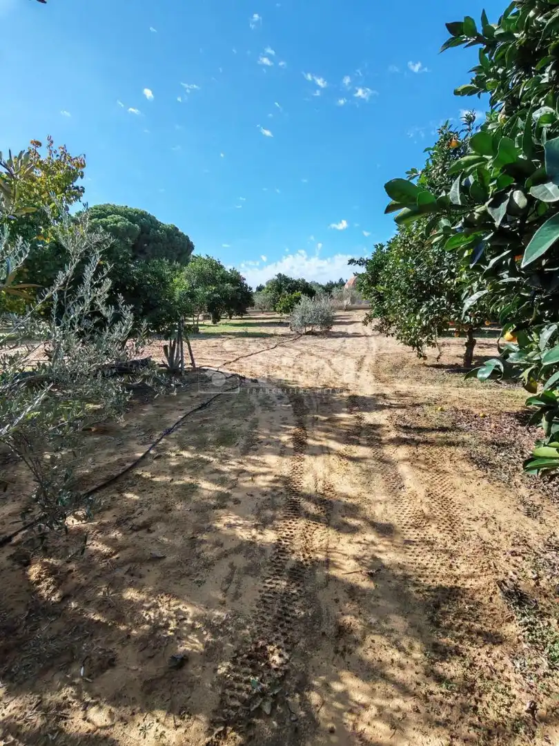 Finca rústica en venta en Marchena con Aire acondicionado