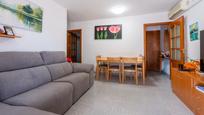 Living room of Planta baja for sale in Girona Capital  with Terrace