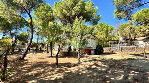 Photo 4 of Land for sale in El Gasco, Torrelodones