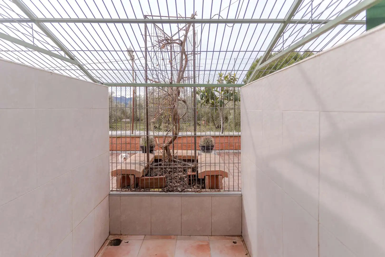 Terraza de Casa o chalet en venta en Dúrcal con Jardín privado