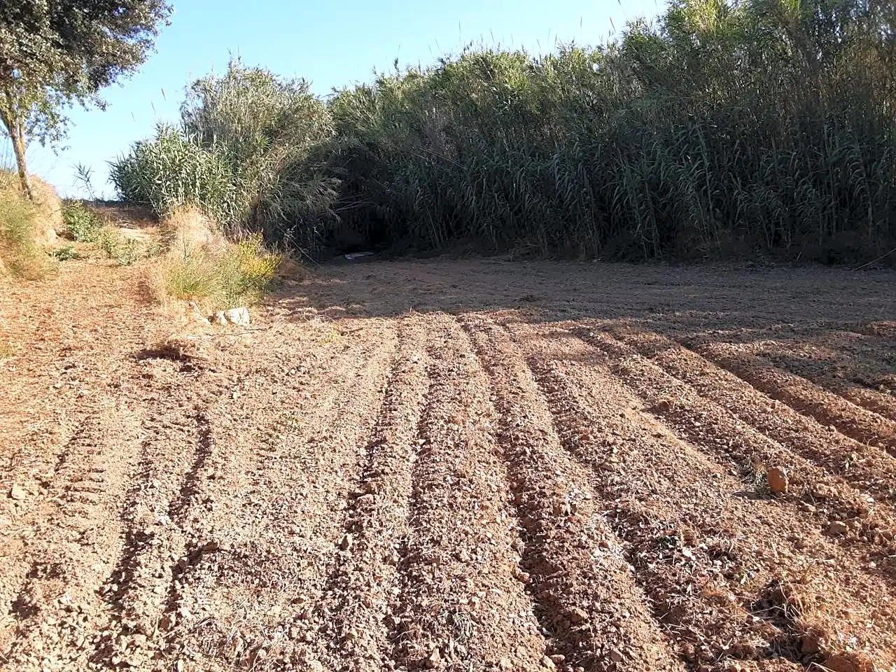 Rustikales Grundstück zum Verkauf in Olèrdola, imagen 3