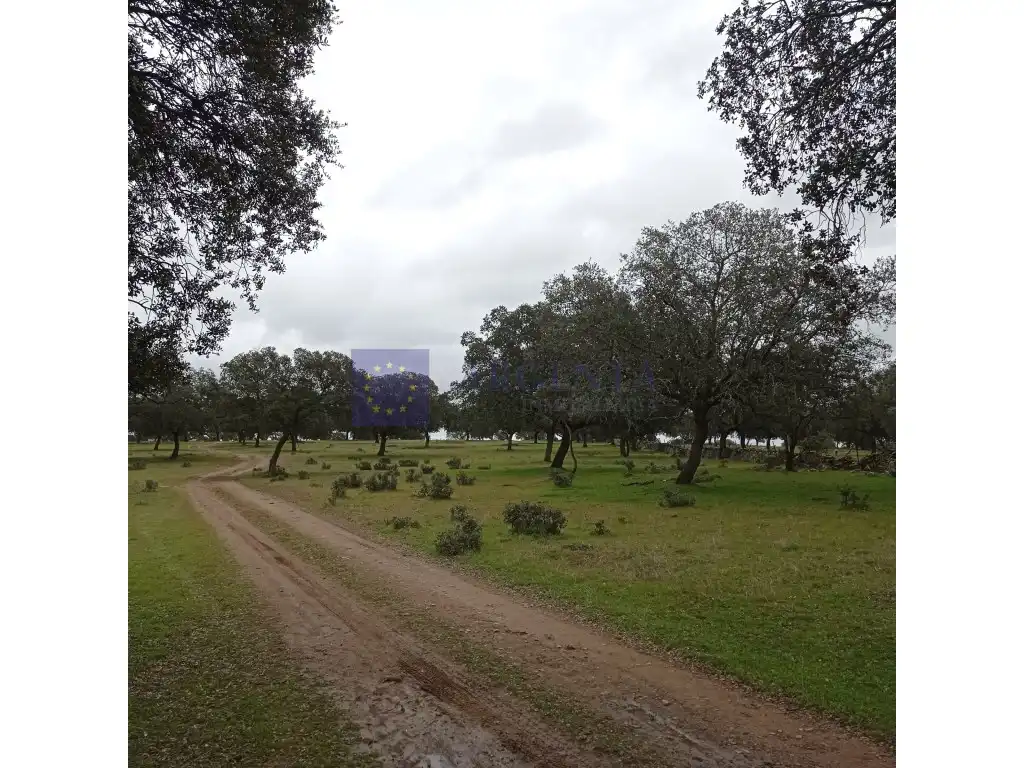 Casa o chalet en venta en Aldeacentenera