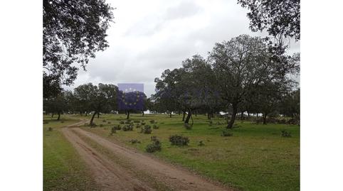 Photo 4 of House or chalet for sale in Aldeacentenera, Cáceres