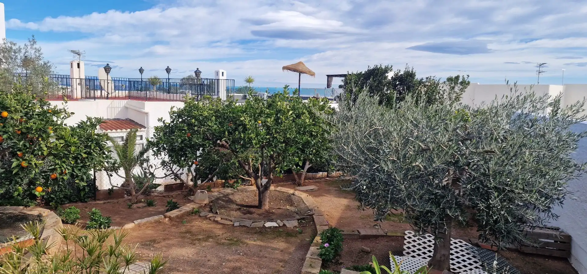 Haus mit Garten zum Verkauf in El Palmeral, imagen 9