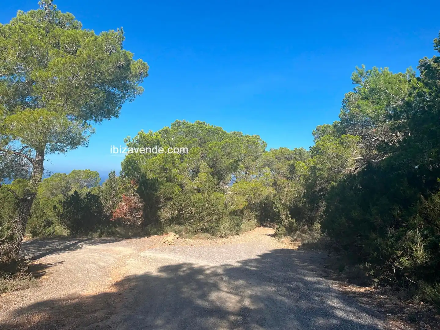 Terreno en venta en de Cala d'Hort, Es Cubells