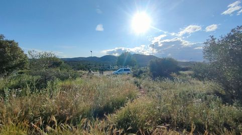 Terreno llano urbano, immagine 4